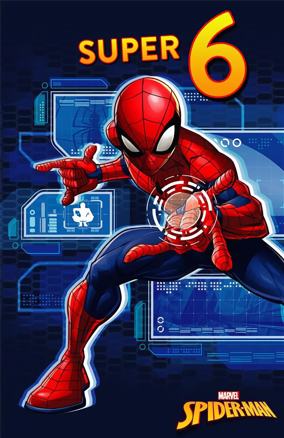 6th Birthday Spider-Man
