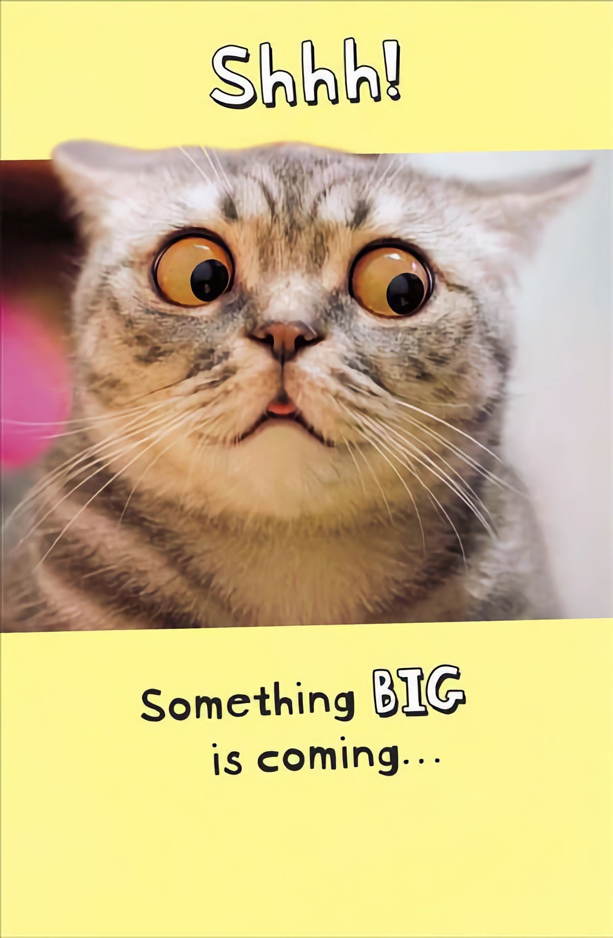 Something Big