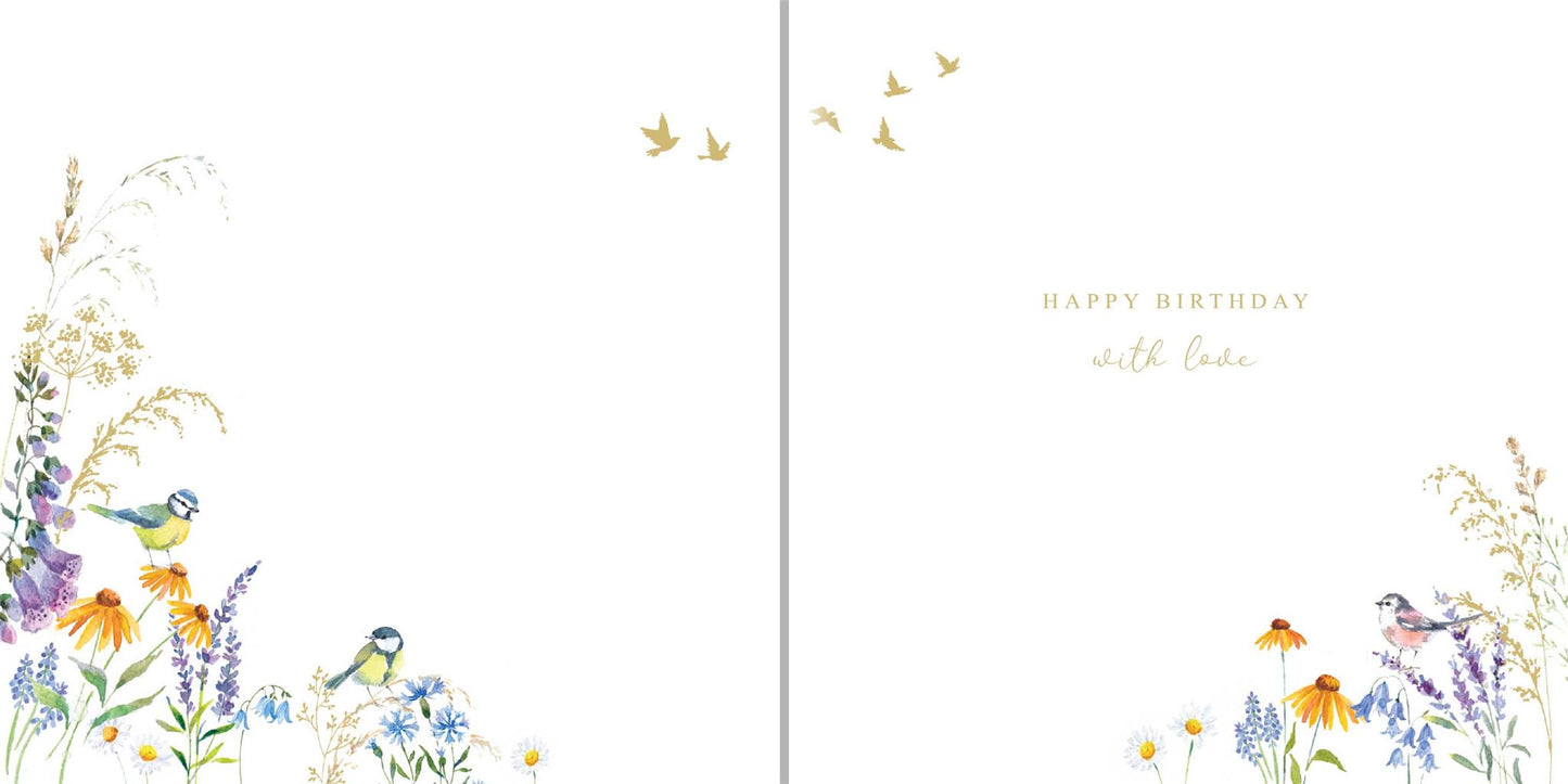 Birds