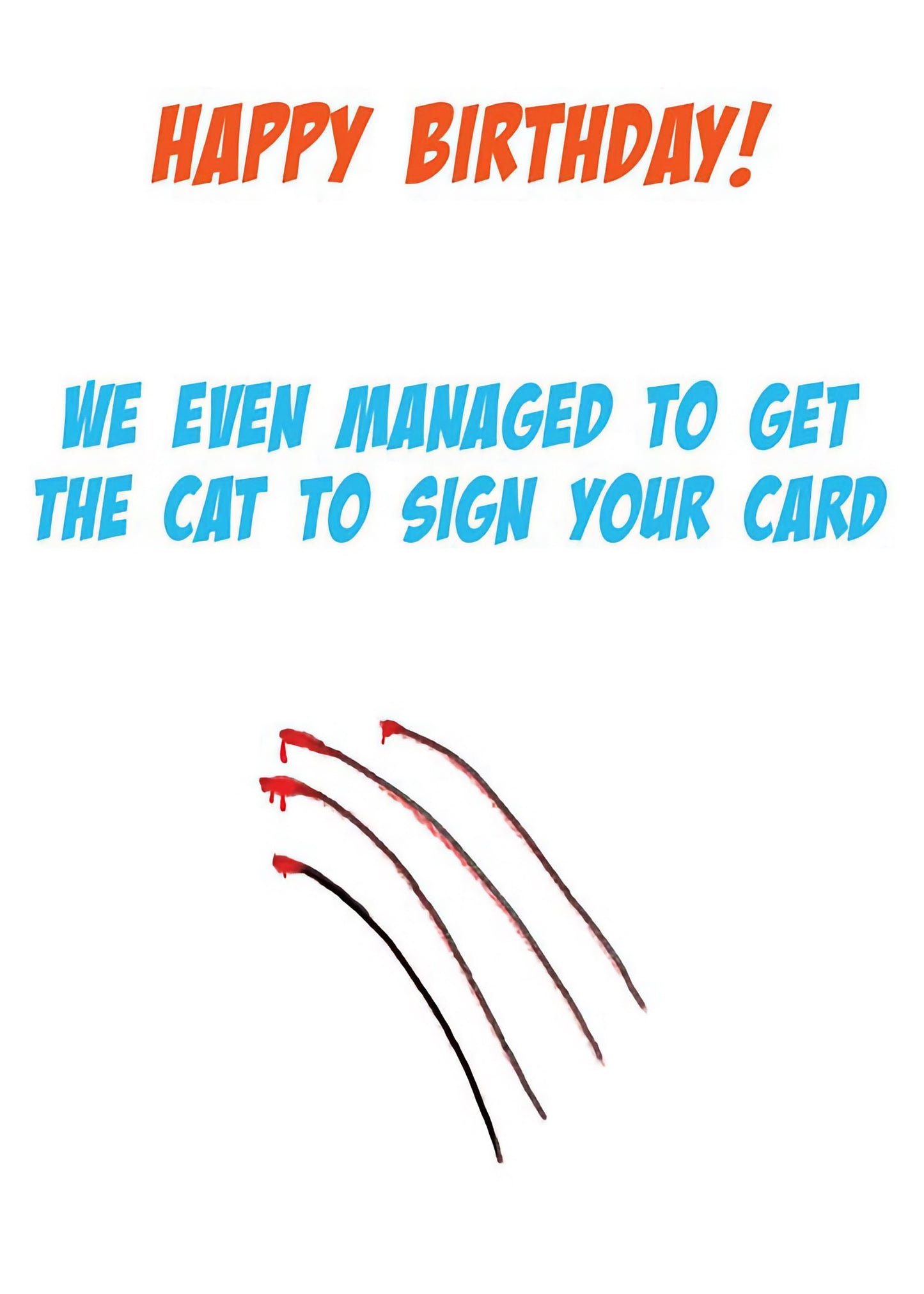 Cat Scratches