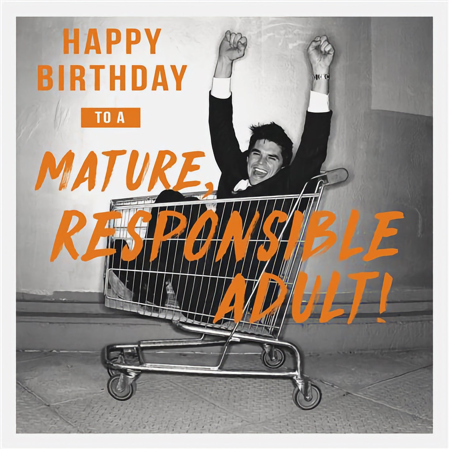 Mature Responsible Adult