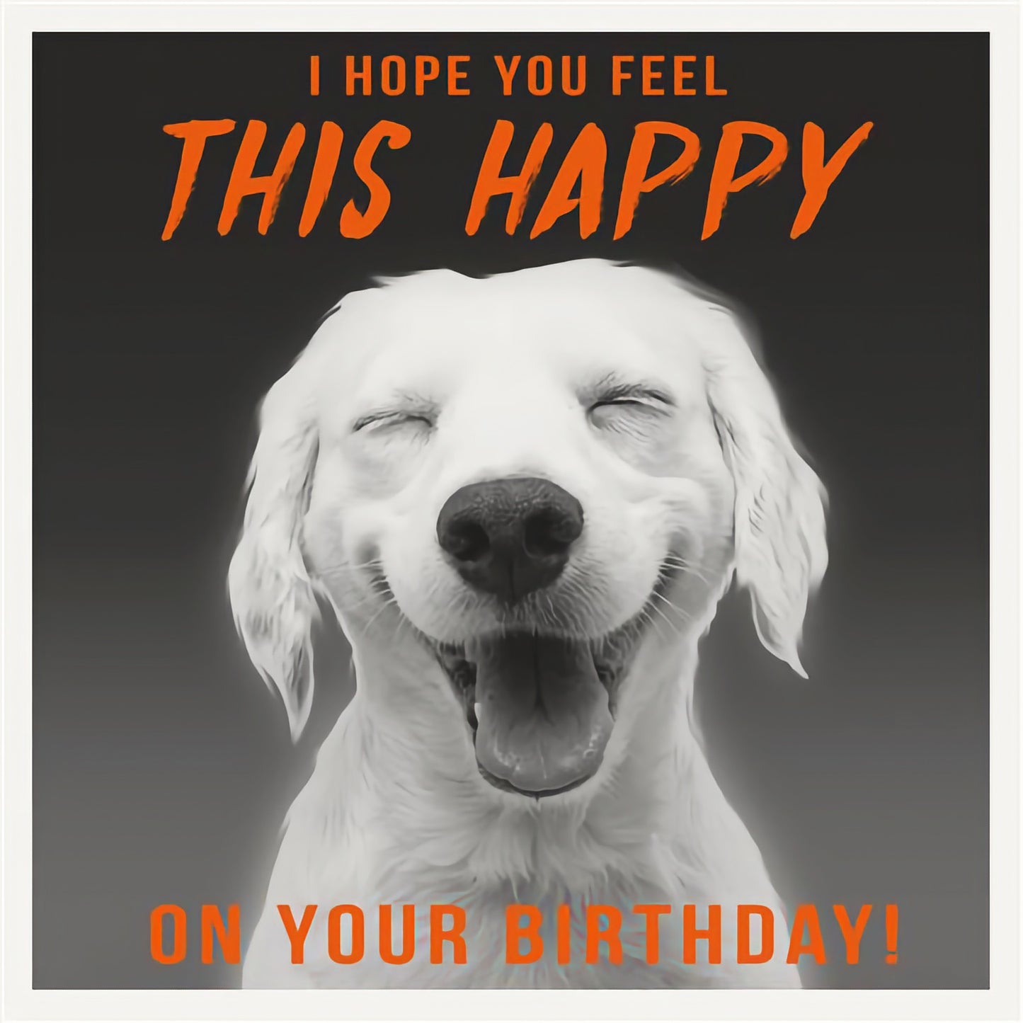This Happy