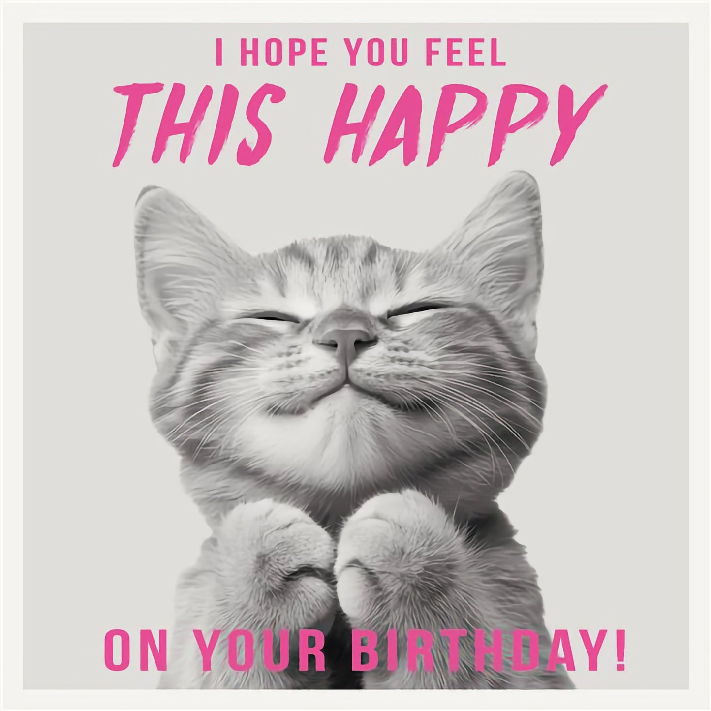 This Happy Cat