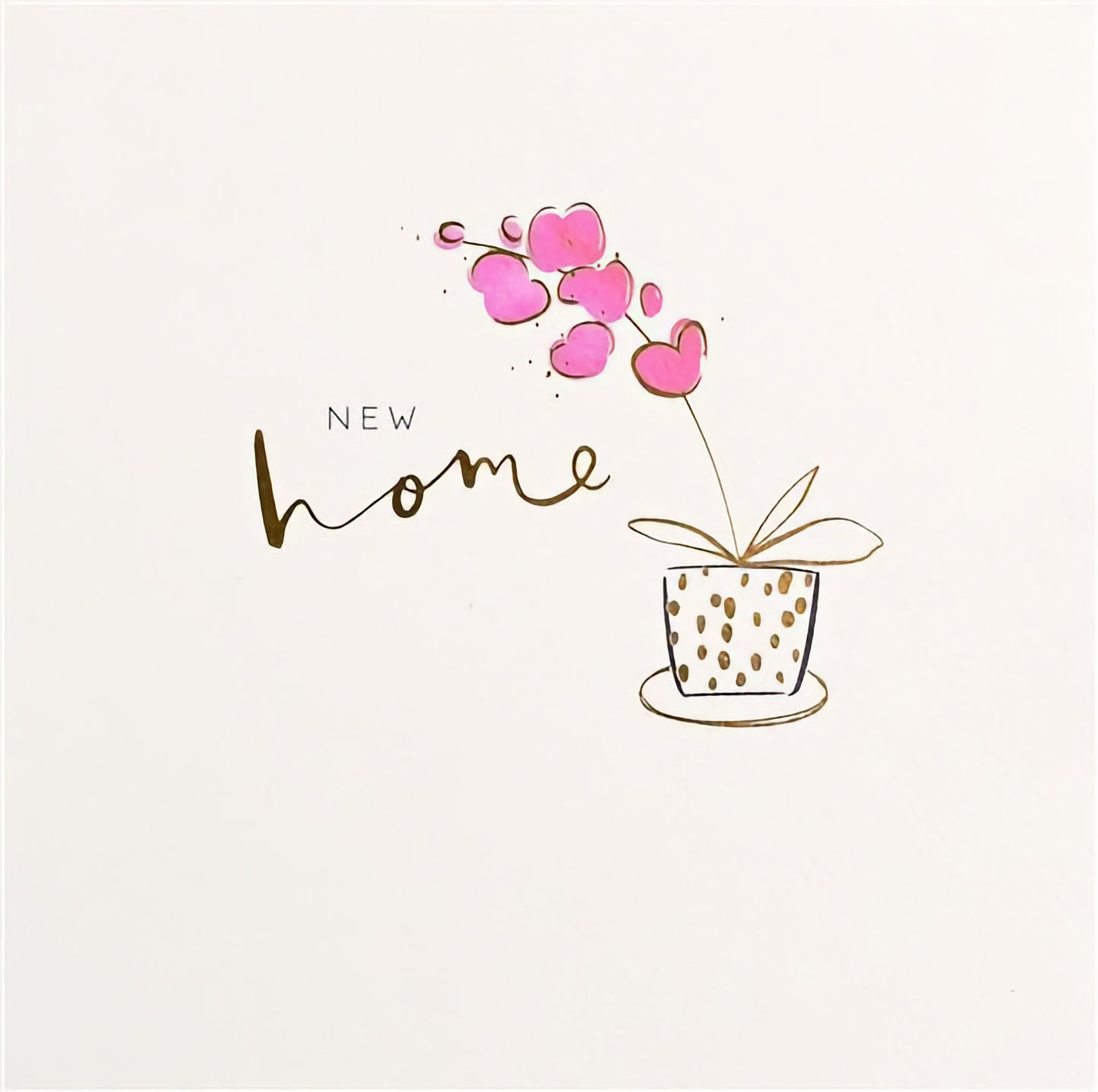 New Home