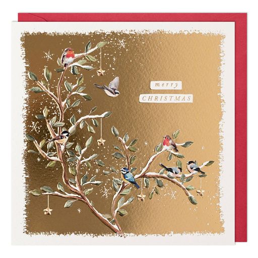 Birds On Branch