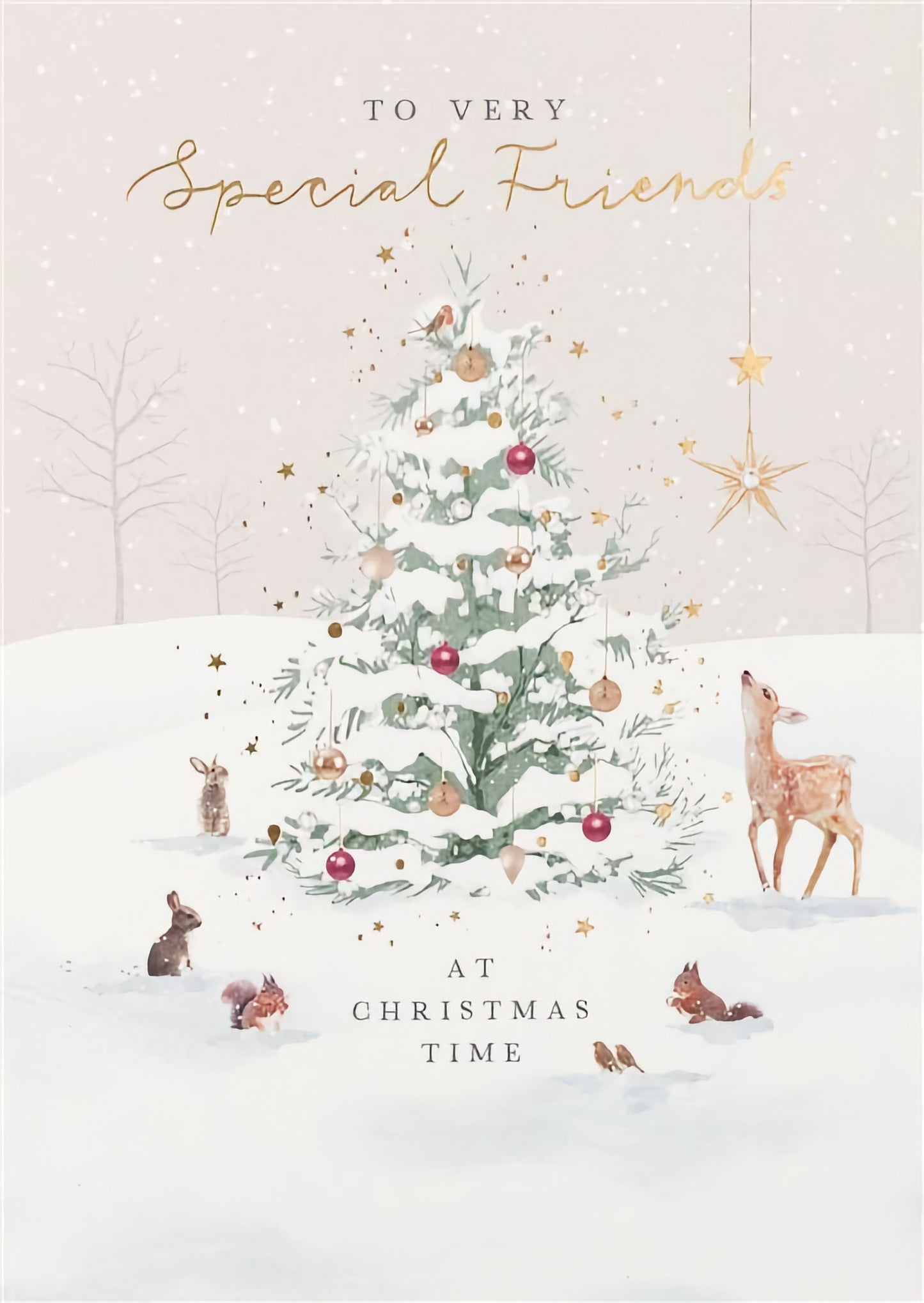 Christmas Special Friends