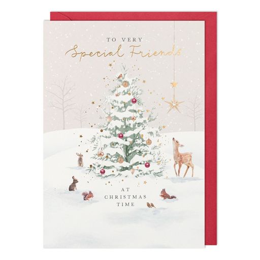 Christmas Special Friends