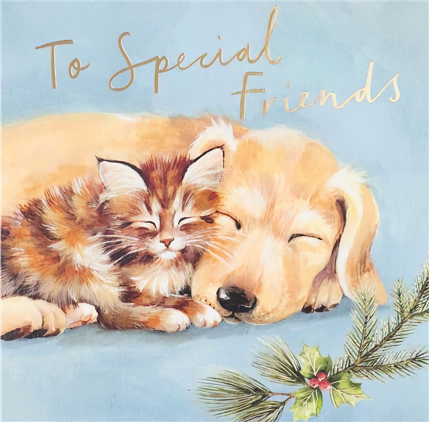 Christmas Special Friends