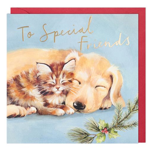 Christmas Special Friends