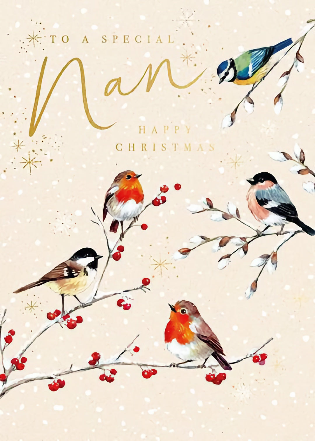 Christmas Special Nan