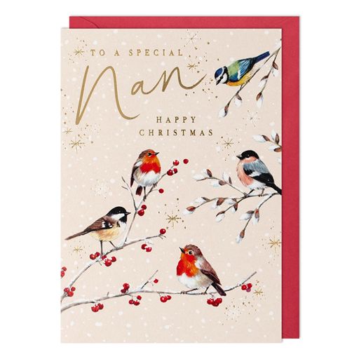 Christmas Special Nan