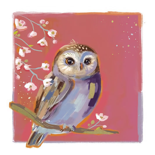 Owl
