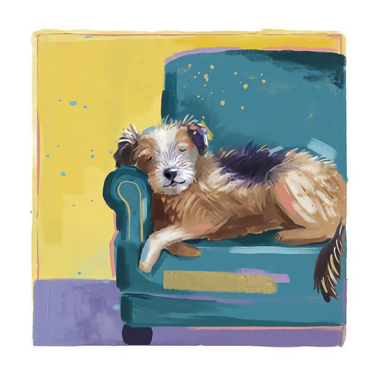 Dog On Chair