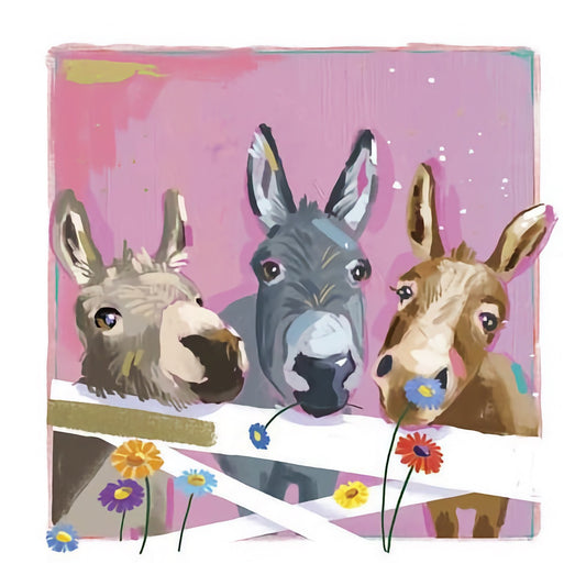 Donkeys