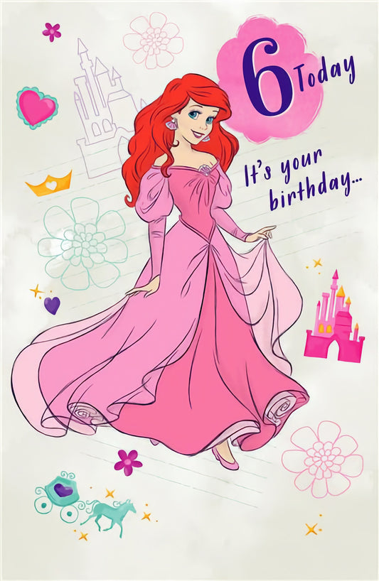 6th Birthday Disney Princess
