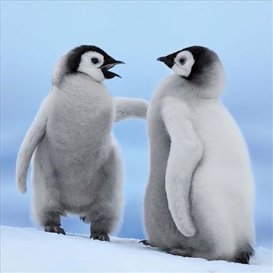 WWF Emperor Penguin