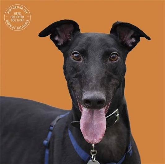 Battersea Dog