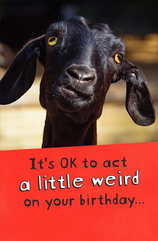 A Little Weird