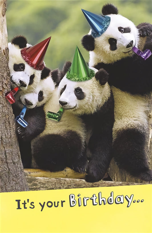 Pandamonium
