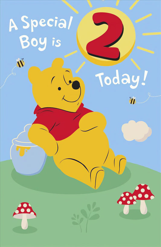 2nd Birthday Boys Winnie the Pooh