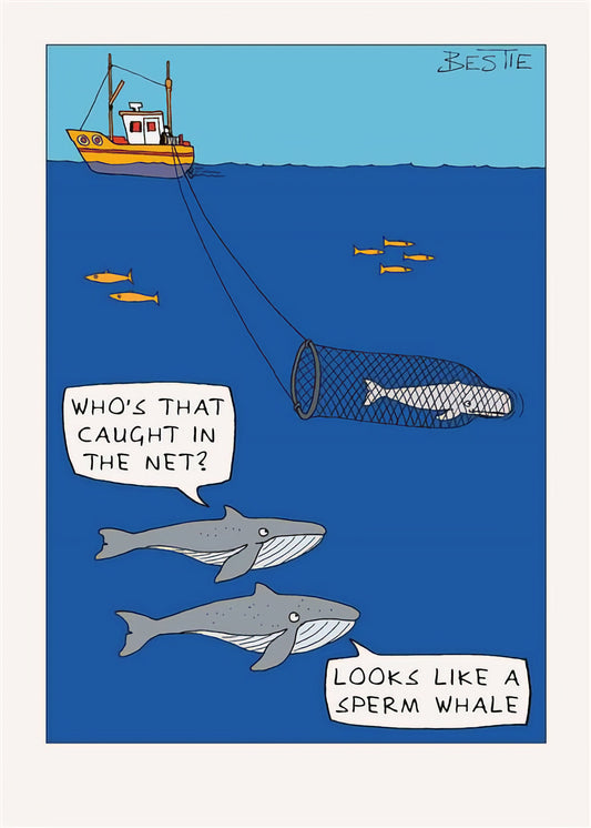 Caught In The Net