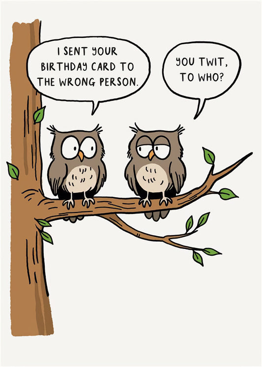 Owls