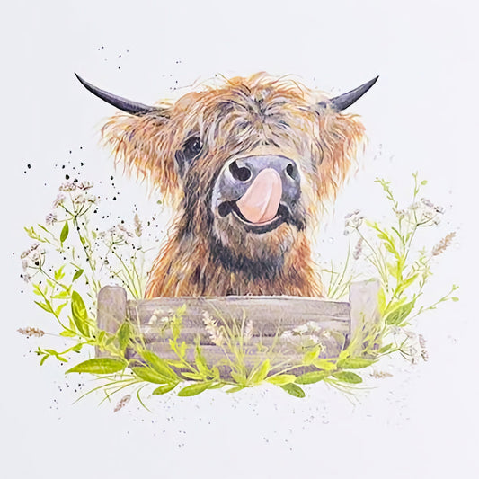Highland Cow