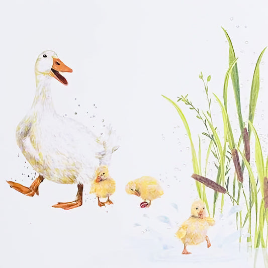 Ducks