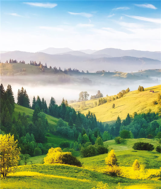 Countryside