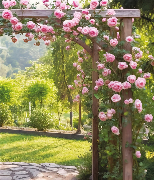 Pink Rose Arbor