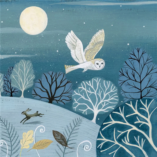 Midnight Owl