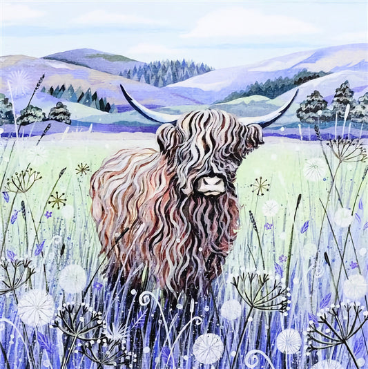 Highland Cow