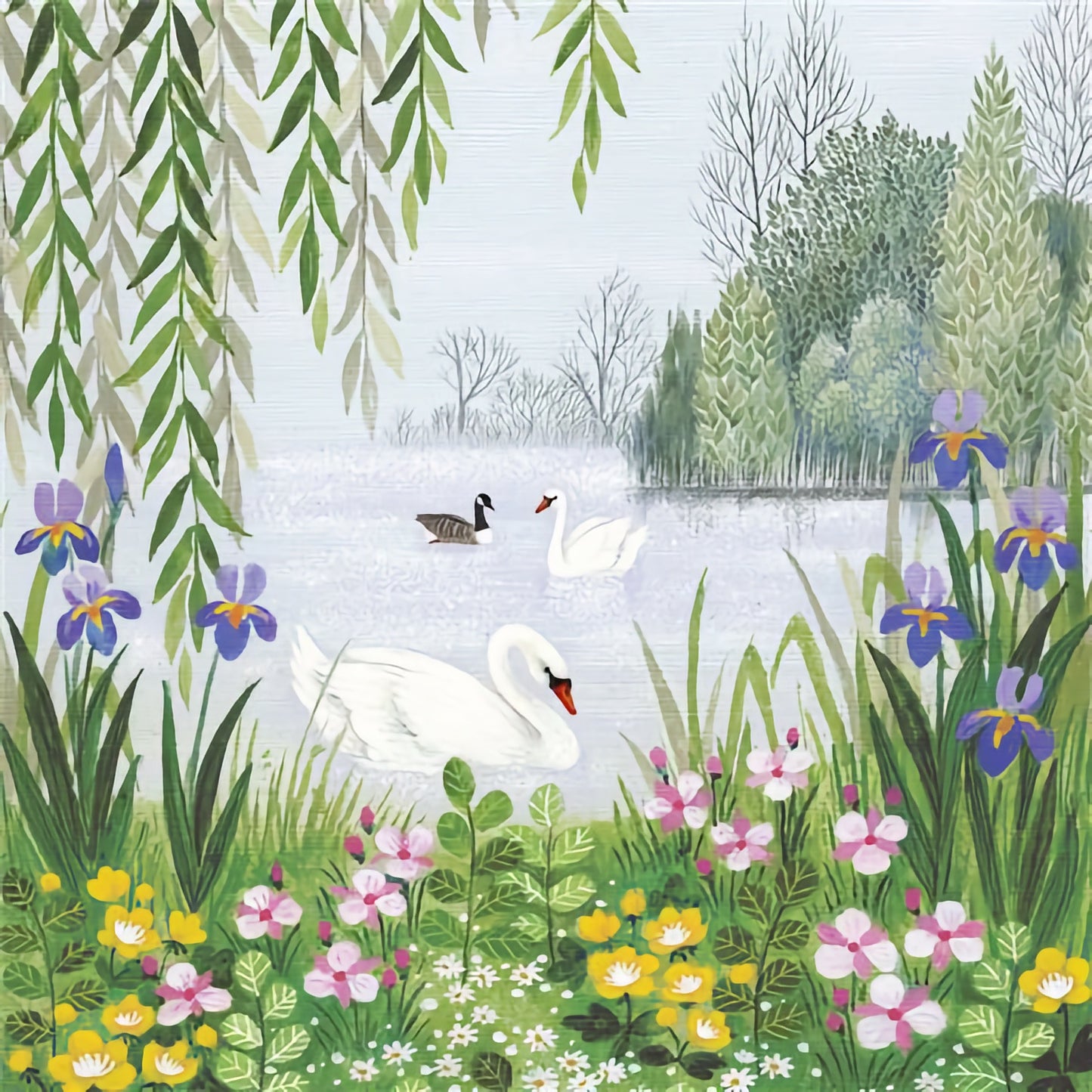 Swans