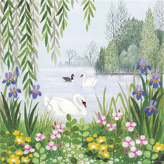 Swans