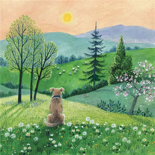 Dog's View