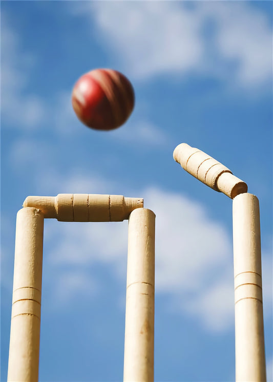 Cricket