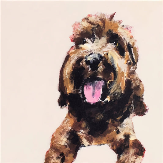 Cockerpoo
