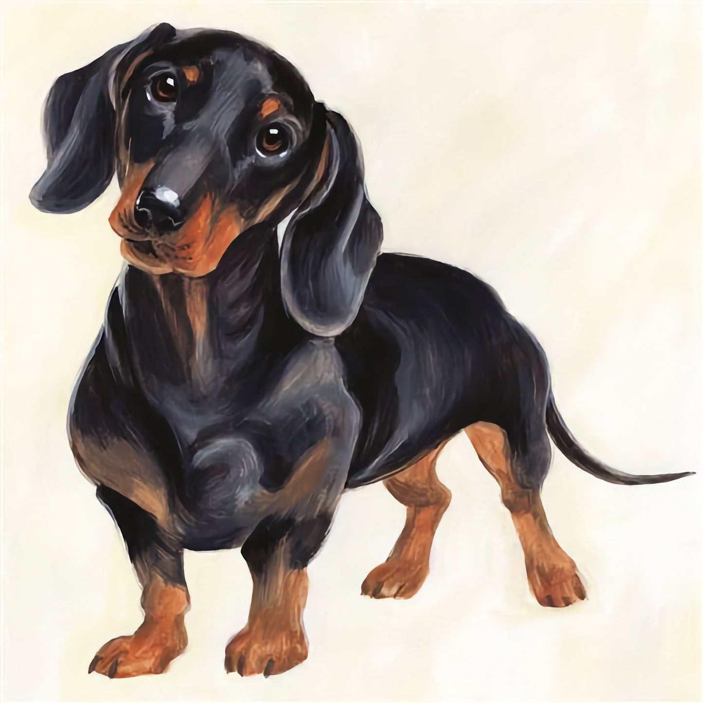 Dachshund