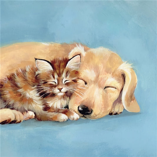 Labrador And Kitten
