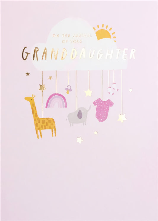 Arrival Of Granddaughter