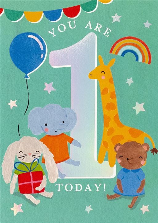 1st Birthday Boy