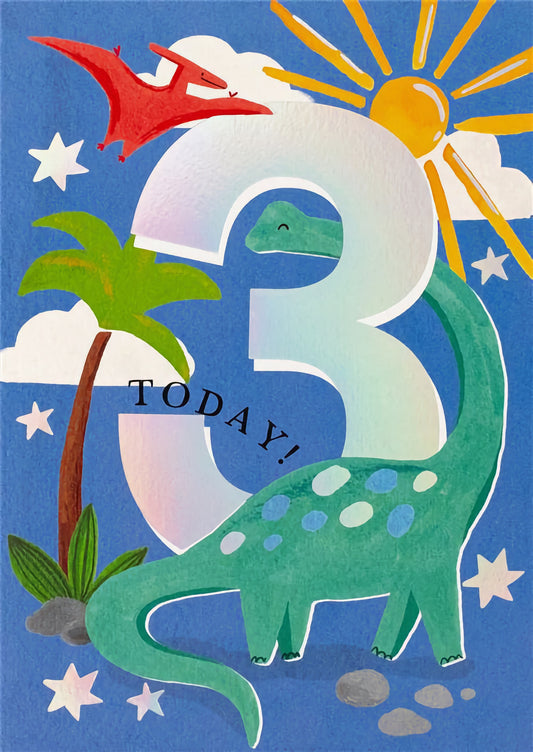 3rd Birthday Boy