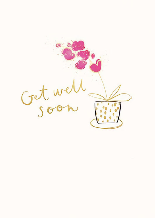 Get Well Orchid