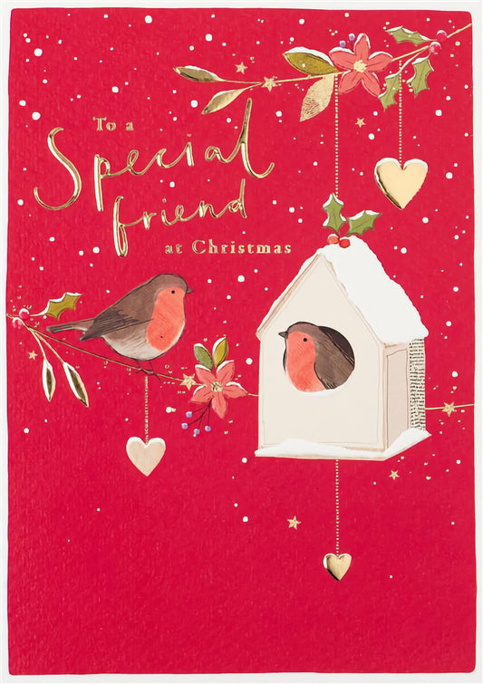 Christmas Special Friend