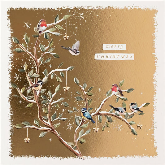 Birds On Branch