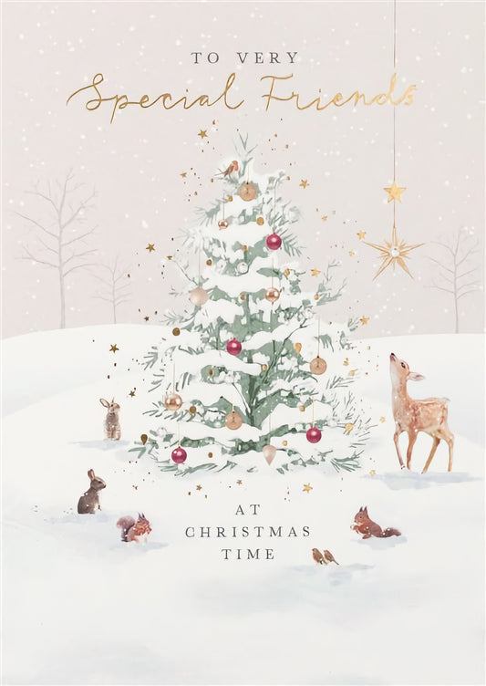 Christmas Special Friends