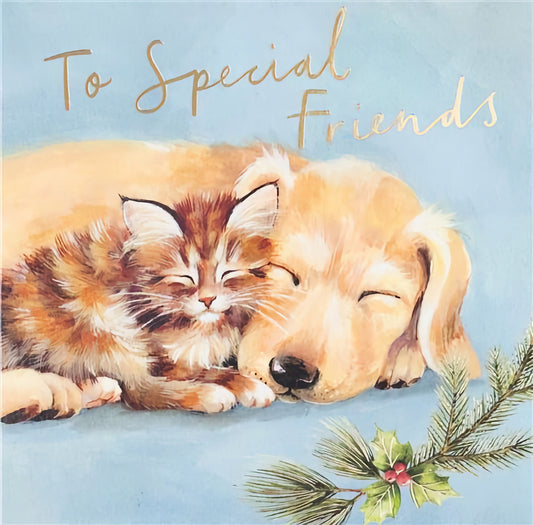 Christmas Special Friends