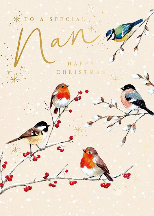 Christmas Special Nan
