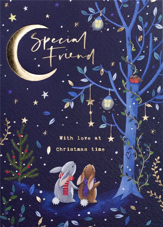 Christmas Special Friend